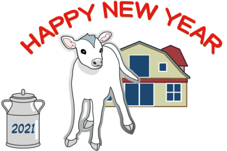 白い子牛　HAPPY NEW YEA