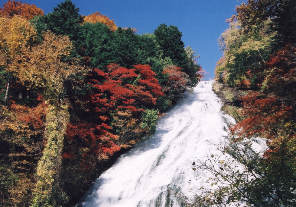 滝と紅葉