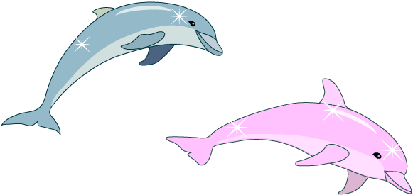 イルカのジャンプ　B