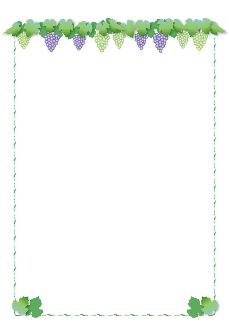 ぶどう　Ｂ５横書き